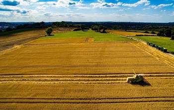 Horizon 2020: bando UE innovazione agricoltura
