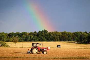 Agricoltura - Photo credit: Foto di Manfred Richter da Pixabay 