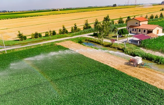Irrigazione agricoltura - Photo credit: Foto di Pascvii da Pixabay 