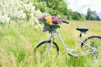 Bicicletta - Foto di Jill Wellington da Pixabay