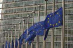 European flags - Credit © European Union, 2011