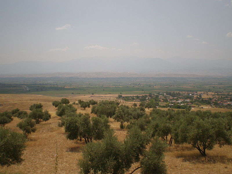 Rural Area - Foto di Ahzaryamed